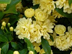 20110430001