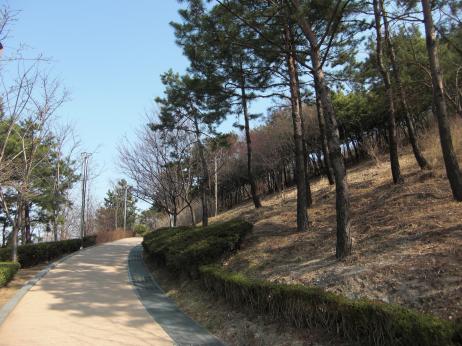201203韓国0172