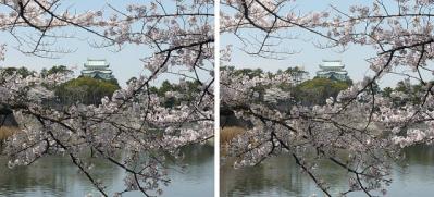 桜と名古屋城 平行法3Dステレオ立体写真