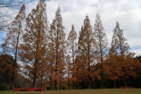 DSC_0064.jpg