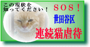 世田谷区連続猫虐待！ＳＯＳ！