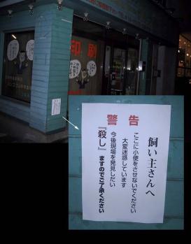 1_20110402143406.jpg