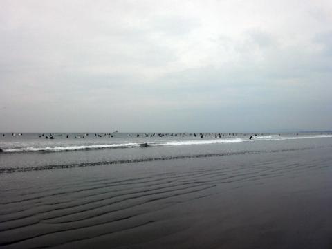 江ノ島西浜 HOKUA SURF & SPORTS 089