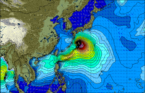 台風6号　うねり　波高