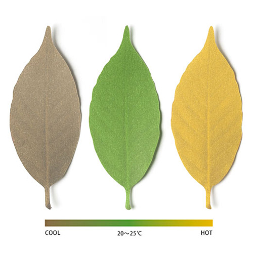 葉っぱの色で感じる温度計「Leaf Thermometer」