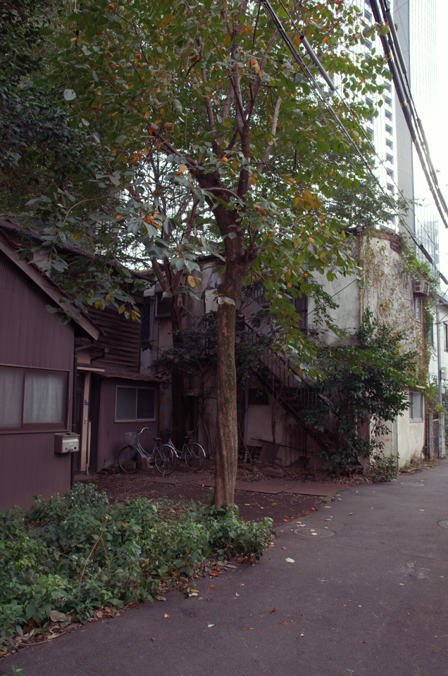 2013/11の西新宿ゴーストタウン