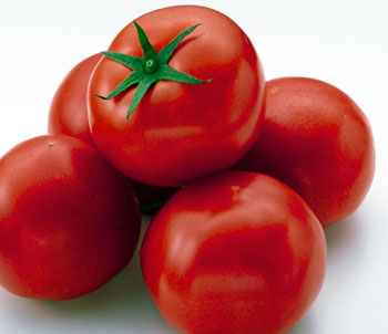 l_tomato.jpg