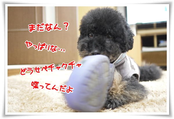 P1070770_1.jpg