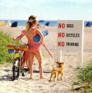 me_326_no_swim_dogs_bicycle.jpg