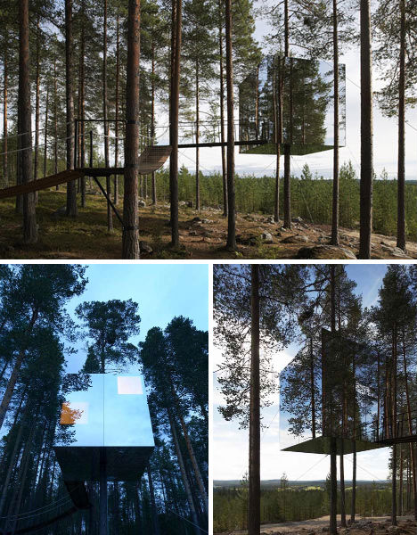 tree-hotel-sweden-2.jpg