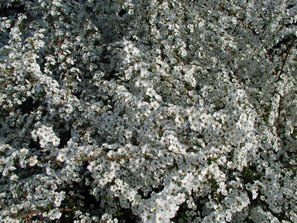 20110401_027