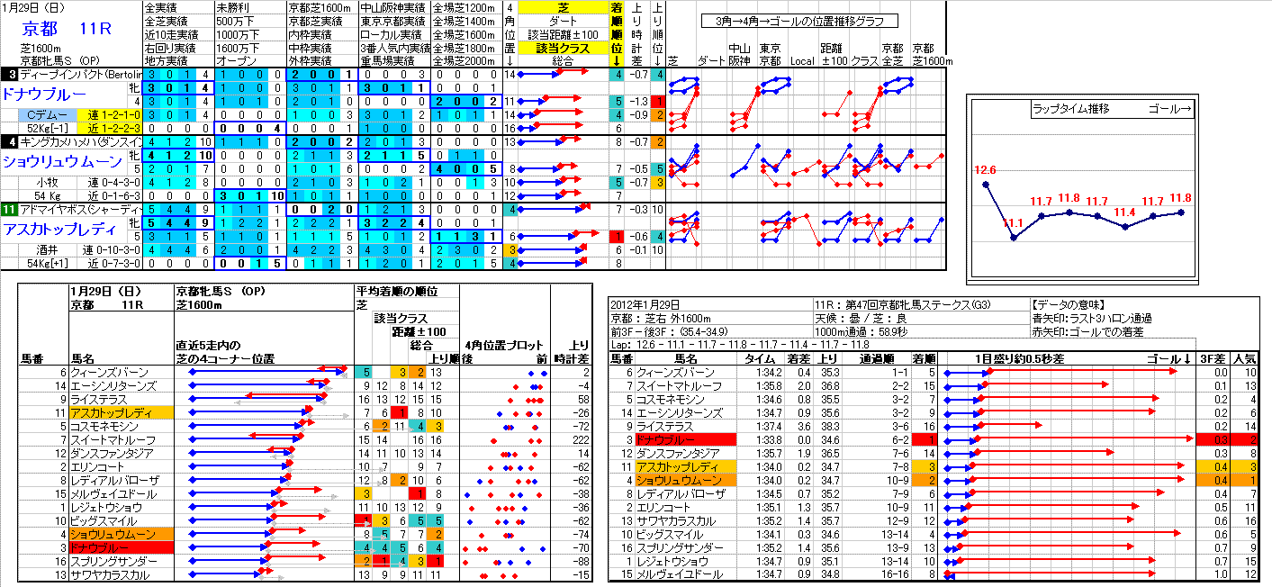 京都競馬 11R ： 1/29(日) －結果