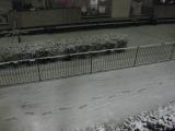 2011雪再び4