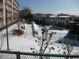 2011雪再び9