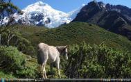 Cordillera Blancaf61hs-