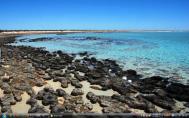 Shark Bay Australiaf117s-