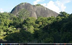 1_Suriname naturef125s-