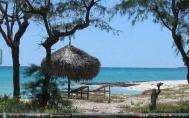 Island of Mozambiquef65s-