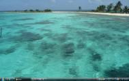 10_Belize Barrier Reeff11