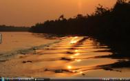 9_Sundarbansf010.jpg