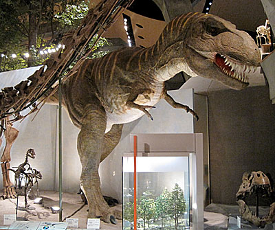 群馬県立自然史博物館・ティラノサウルス