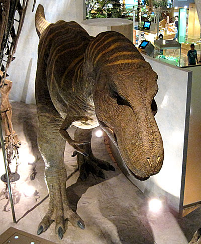 群馬県立自然史博物館・ティラノサウルスロボット