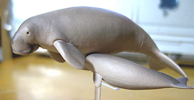 原色海生哺乳類図鑑のジュゴン