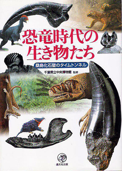 恐竜時代の生き物たち　桑島化石壁のタイムトンネル