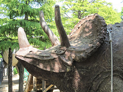 北沼公園05