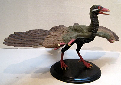鳥の博物館　始祖鳥