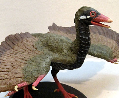 鳥の博物館　始祖鳥
