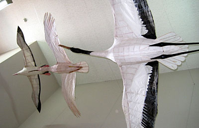 鳥の博物館　鳥凧