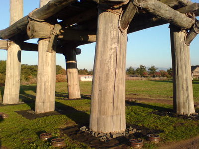 大型掘立柱建物（柱の一番下の部分）