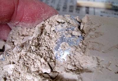発掘名人シルバーザウルス　中から化石が顔を出した