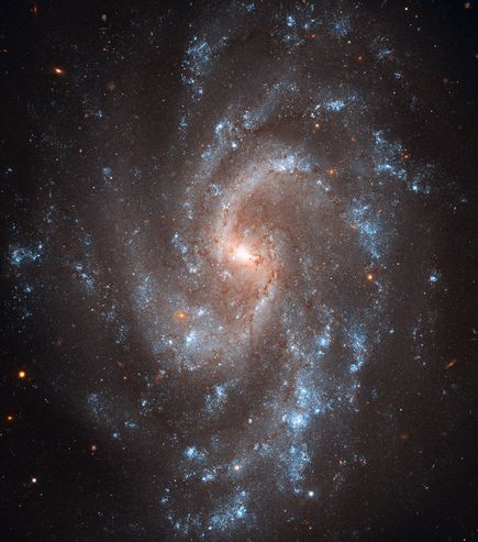 　Ia型超新星が輝く銀河NGC5584。ハッブル宇宙望遠鏡が撮影。
