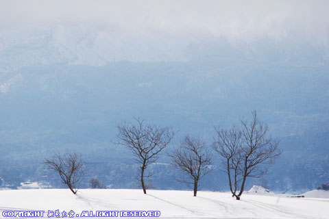 檜原湖畔・細野地区の雪景色