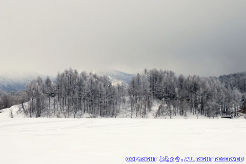 檜原湖畔・細野地区の雪景色