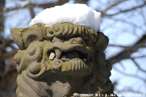 新宮熊野神社長床の雪景色