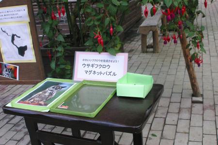 IMG_7873.jpg