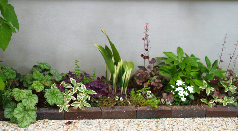 植物と風 北側花壇 リーフのコントラスト