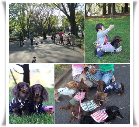 駒沢公園１