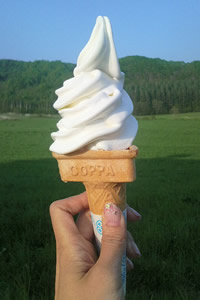 牧場が作ってるソフトクリーム。なんてステキなコントラスト！