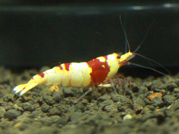 20131225.jpg
