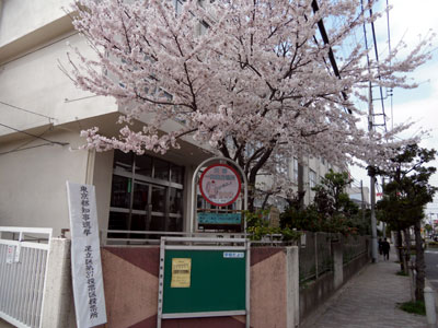 東京都知事選挙　投票所　東加平小学校　20110410