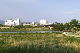 旧東海道：現在の酒匂川の渡し付近の様子