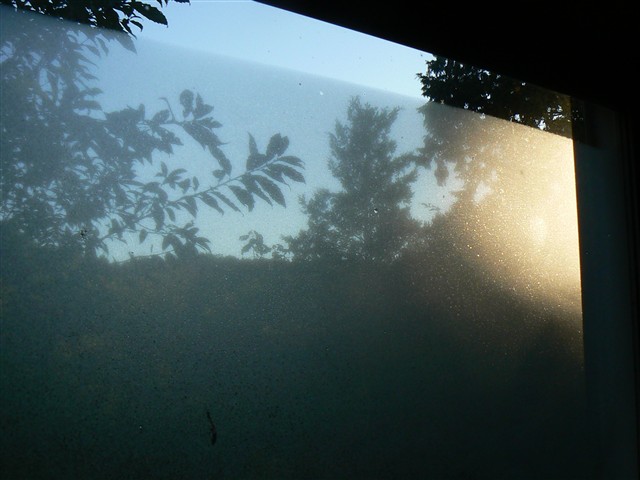窓の露１