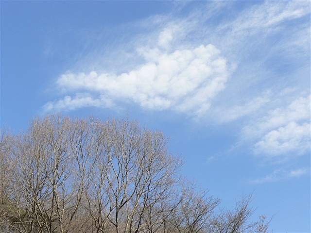 谷戸の雲２