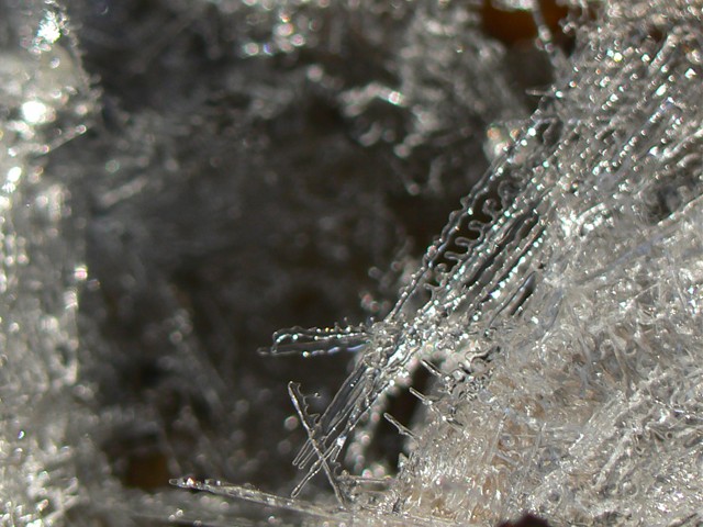 針状の氷