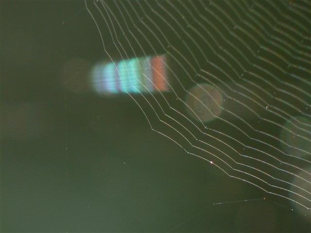 クモの巣虹６