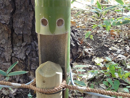 竹製ライティング器具